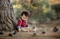 Baby boy outside surrounded by pine cones